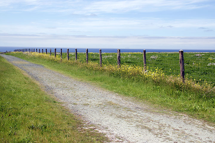 Ignoring the Imperfections…