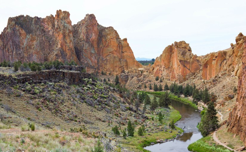 Reaching New Heights