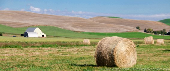 Palouse-4