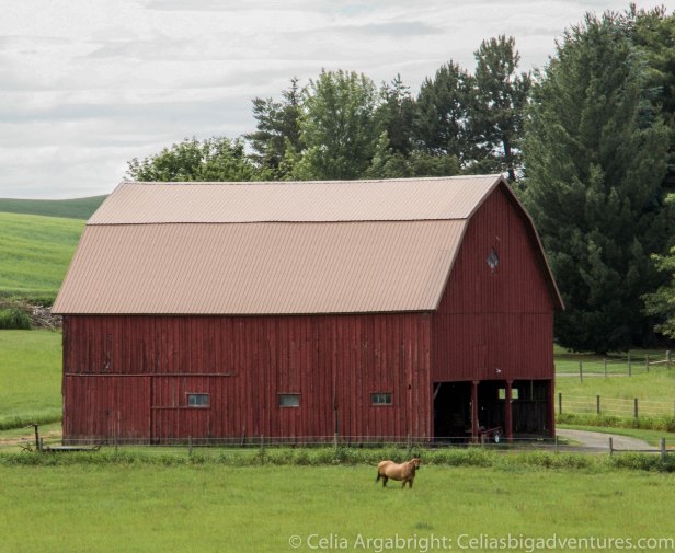 Red Barns Palouse-10