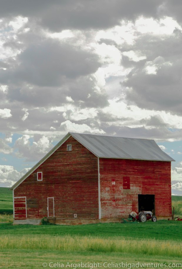 Red Barns Palouse-11