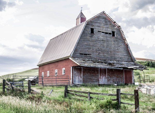 Red Barns Palouse-3