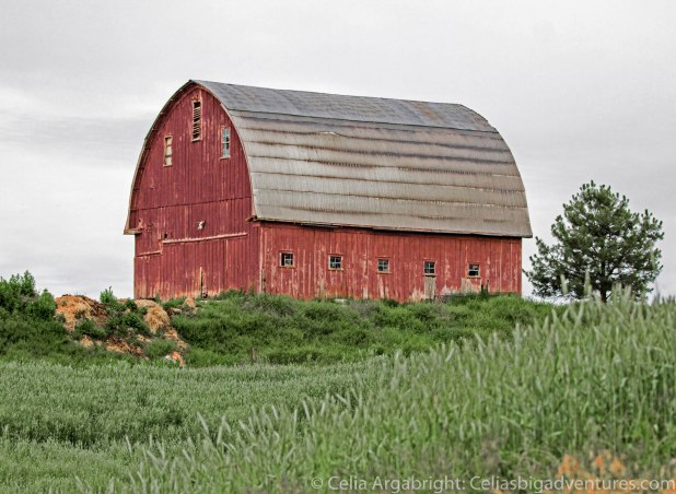 Red Barns Palouse-8