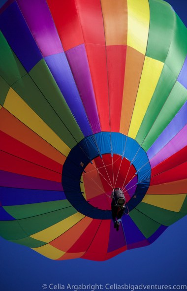 balloon-rodeo-man-1-web