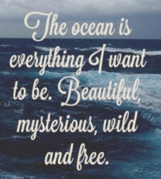 Screen Shot 2017-09-28 at 6.05.38 PM